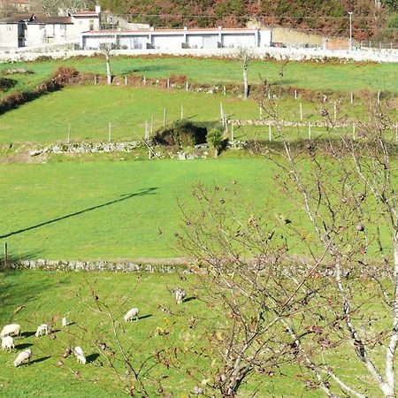 Вилла Campo Seco Виейра-ду-Минью Экстерьер фото